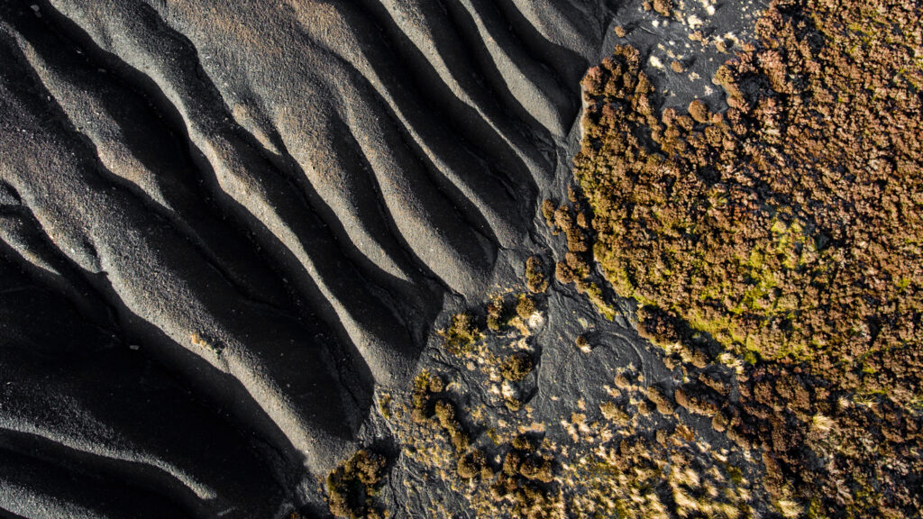 Coal pile